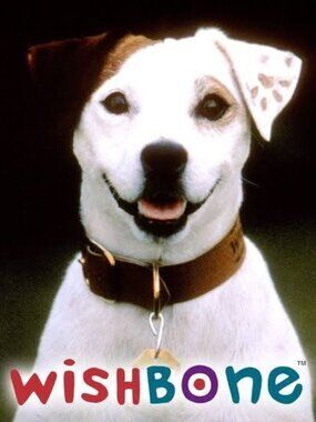 WISHBONE TV Series ON BLU-RAY All 50 Complete episodes W/DVD CASE